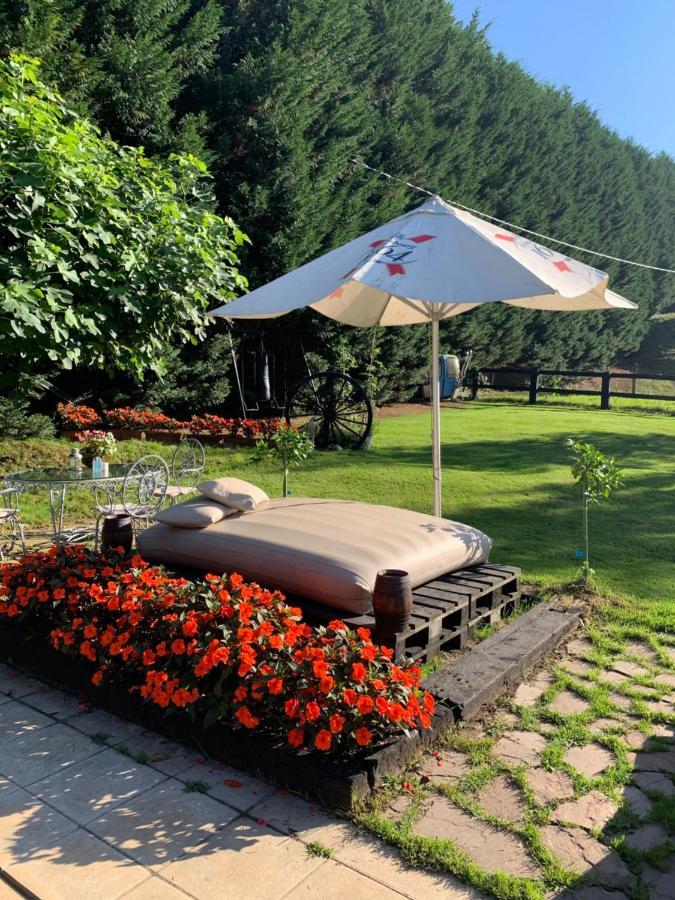 Agroturismo Anziola Oiartzun Dış mekan fotoğraf
