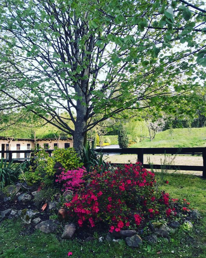 Agroturismo Anziola Oiartzun Dış mekan fotoğraf