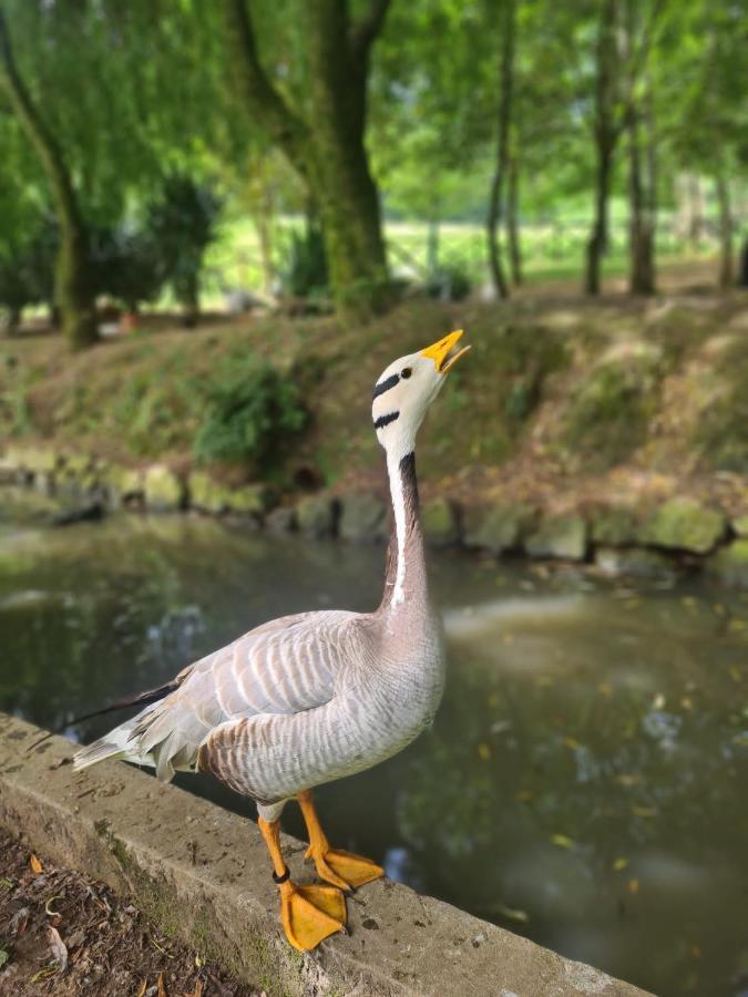Agroturismo Anziola Oiartzun Dış mekan fotoğraf