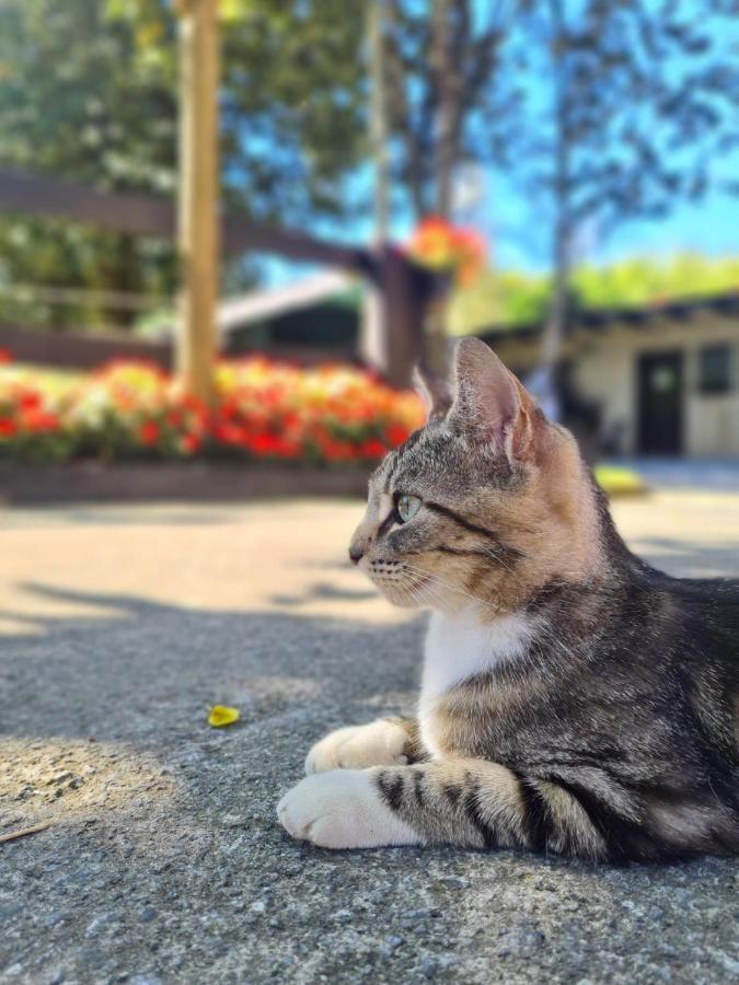 Agroturismo Anziola Oiartzun Dış mekan fotoğraf