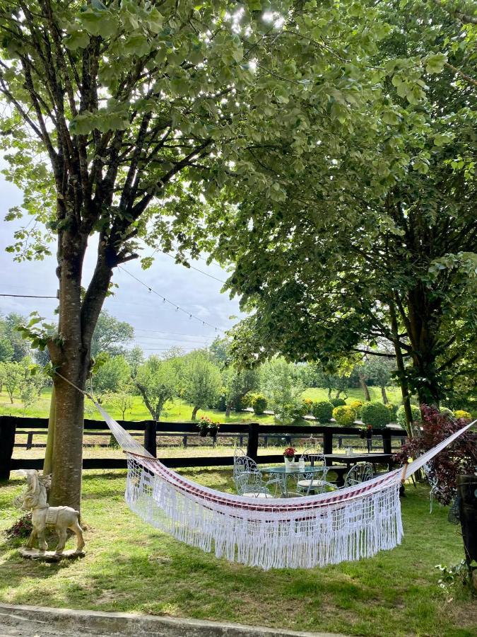 Agroturismo Anziola Oiartzun Dış mekan fotoğraf